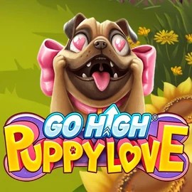 Go High Puppy Love online slot from RubyPlay – play at vox-casinos.org